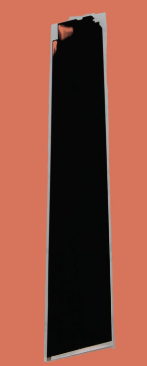 NI-8136 GLOSS LT FRONT DOOR 808135AA0A